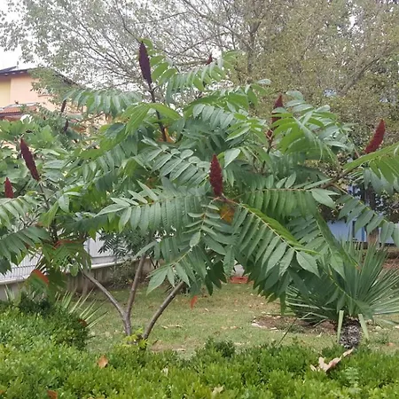 公园1号酒店 酒店 2*