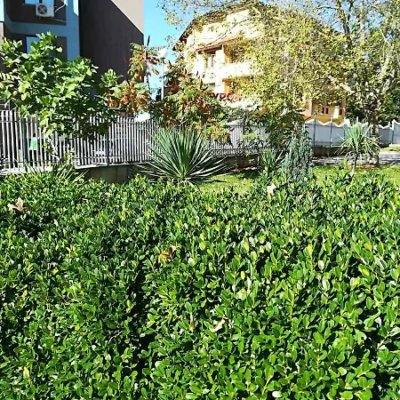 公园1号酒店 希典