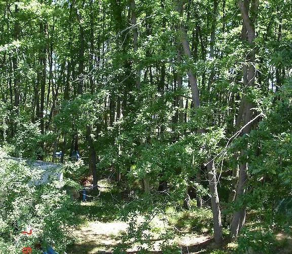 公园1号酒店 希典