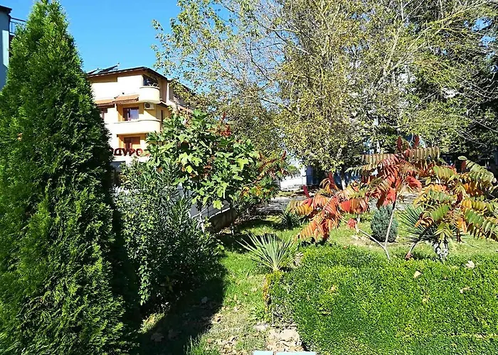 公园1号酒店 酒店