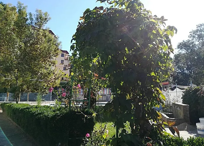 酒店 公园1号酒店 希典