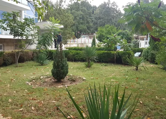 公园1号酒店 酒店