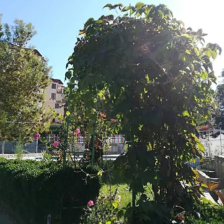 Szálloda Park 1 Kiten