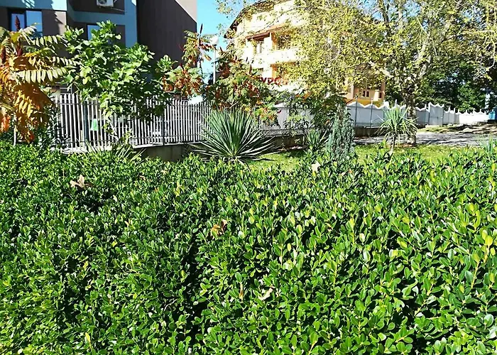 Park 1 Kiten (Burgas)